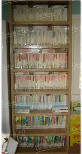 Bibliothèque dans un centre de lecture